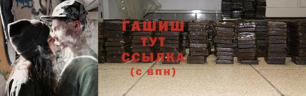 твердый Ельня