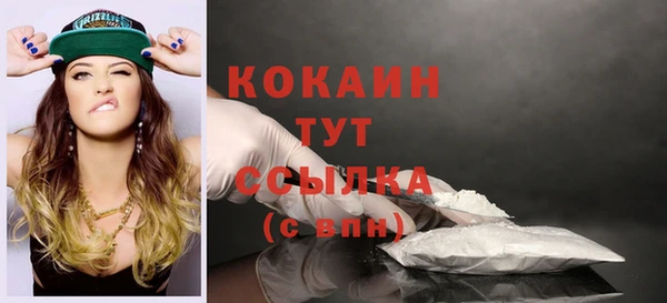 твердый Ельня