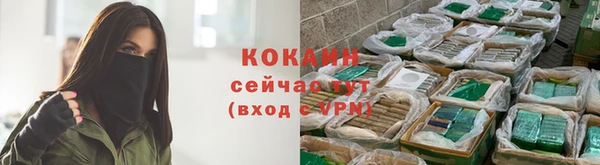 молекула духа Елабуга