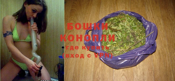 молекула духа Елабуга