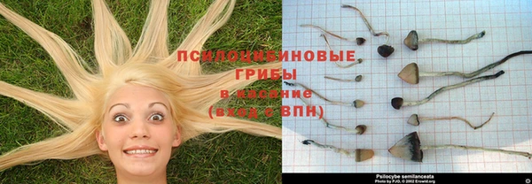 мефедрон Заводоуковск