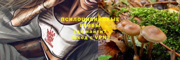 метадон Заволжье