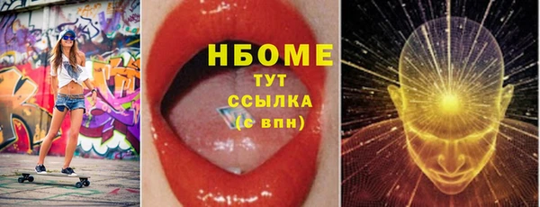 твердый Ельня