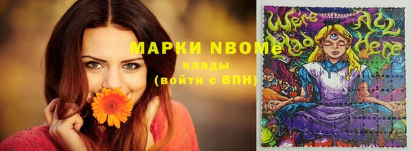 молекула духа Елабуга
